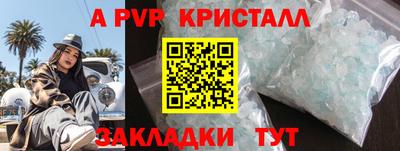 гашик Шелехов