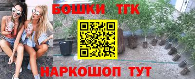 гашик Шелехов