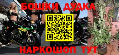 гашик Шелехов