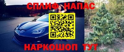 гашик Шелехов